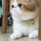 ユーザー画像