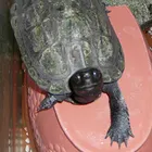 ユーザー画像
