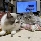 ユーザー画像