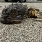 ユーザー画像