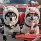 ユーザー画像