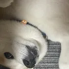 ユーザー画像