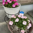 ユーザー画像