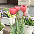 ユーザー画像