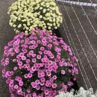 ユーザー画像