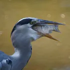 ユーザー画像
