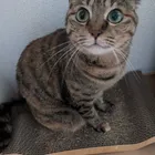 ユーザー画像