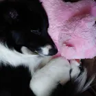 ユーザー画像