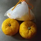 ユーザー画像