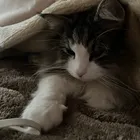 ユーザー画像