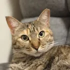 ユーザー画像