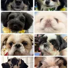 ユーザー画像
