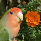 ユーザー画像
