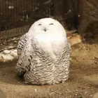 ユーザー画像