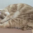 ユーザー画像