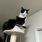 ユーザー画像