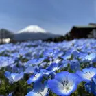 ユーザー画像
