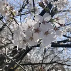 ユーザー画像
