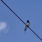 ユーザー画像