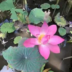 ユーザー画像