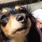 ユーザー画像