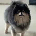ユーザー画像