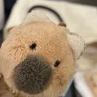 ユーザー画像