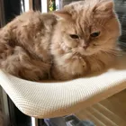 ユーザー画像
