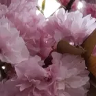 ユーザー画像