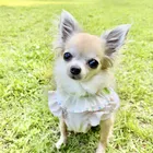 ユーザー画像
