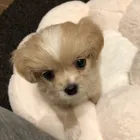 ユーザー画像