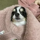 ユーザー画像