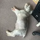 ユーザー画像