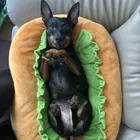 ユーザー画像