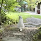 ユーザー画像