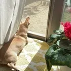 ユーザー画像