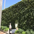 ユーザー画像