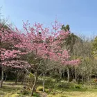 ユーザー画像