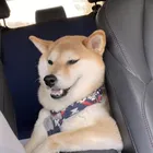 ユーザー画像