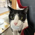 ユーザー画像