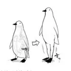 ユーザー画像
