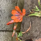 ユーザー画像