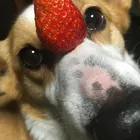 ユーザー画像