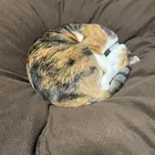 ユーザー画像