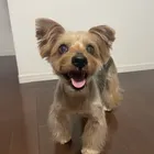 ユーザー画像