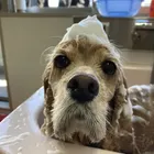 ユーザー画像