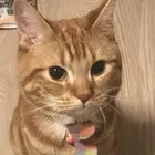 ユーザー画像