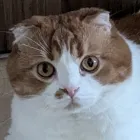 ユーザー画像