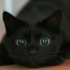 ユーザー画像