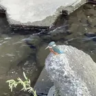 ユーザー画像